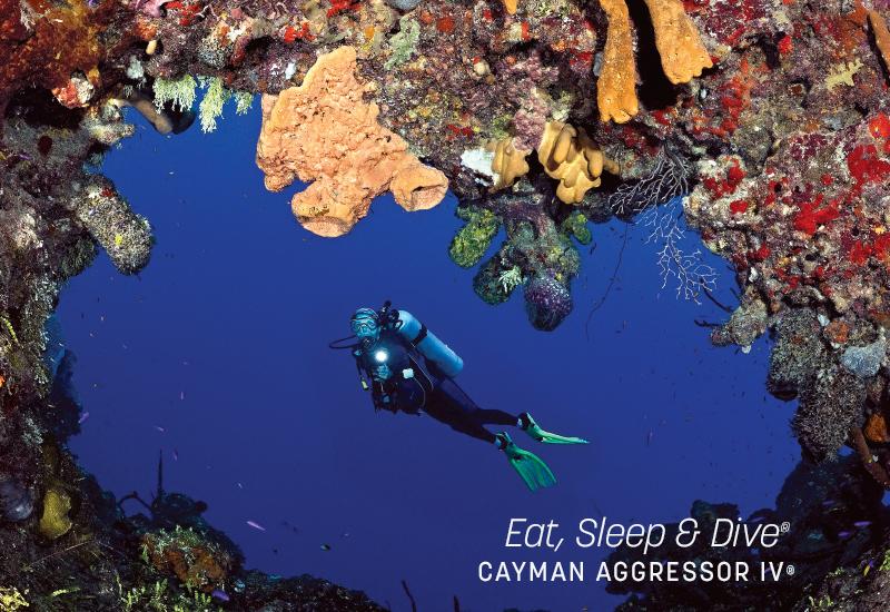 Cayman Islands Tourism | Scuba Diving